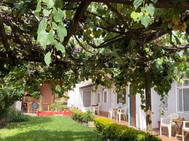 Samailandia Backpack Hotel Samaipata Exterior foto